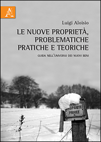 Le nuove proprietà, problematiche pratiche e teoriche. Guida nell'universo dei nuovi beni