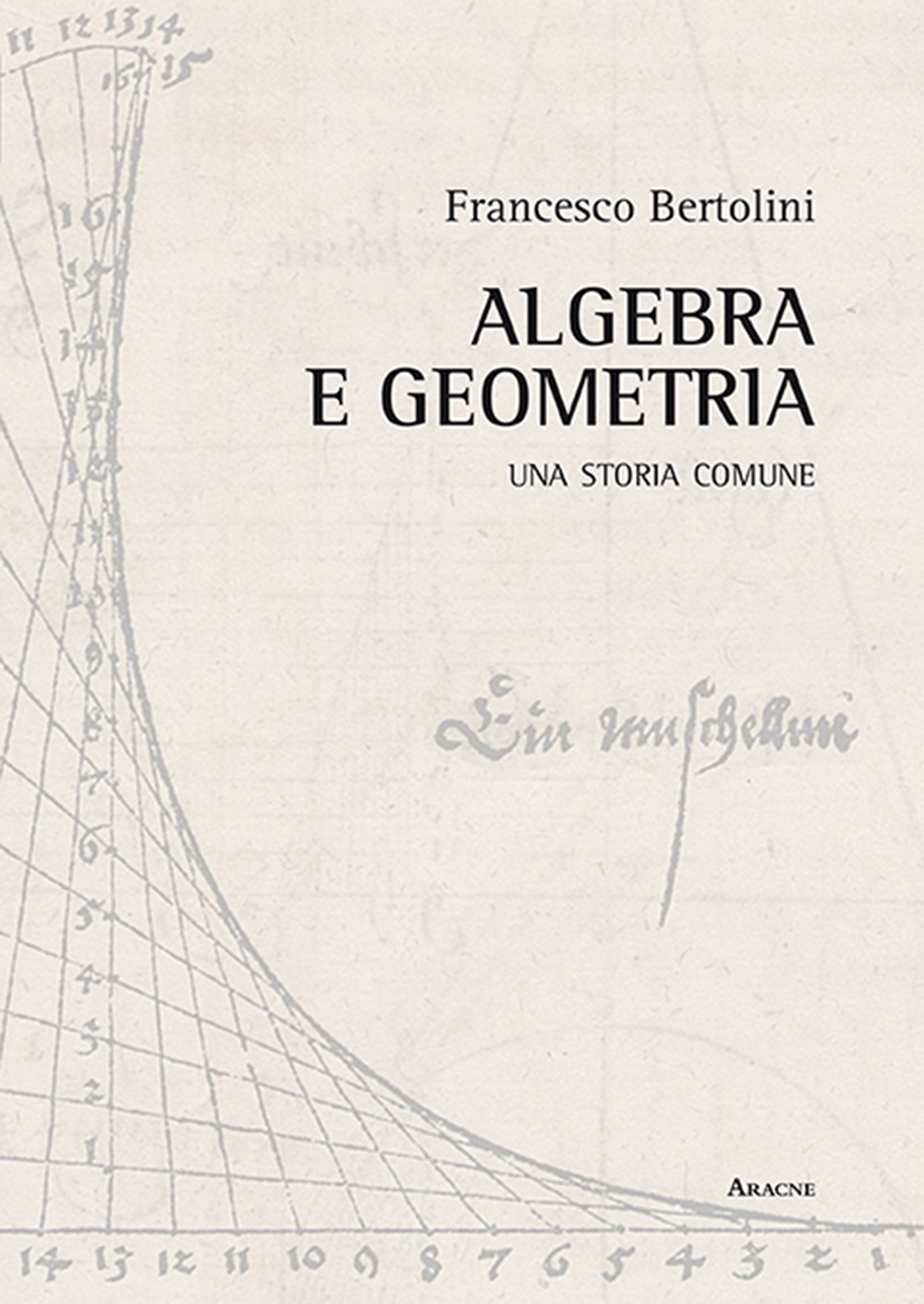 Algebra e geometria. Una storia comune