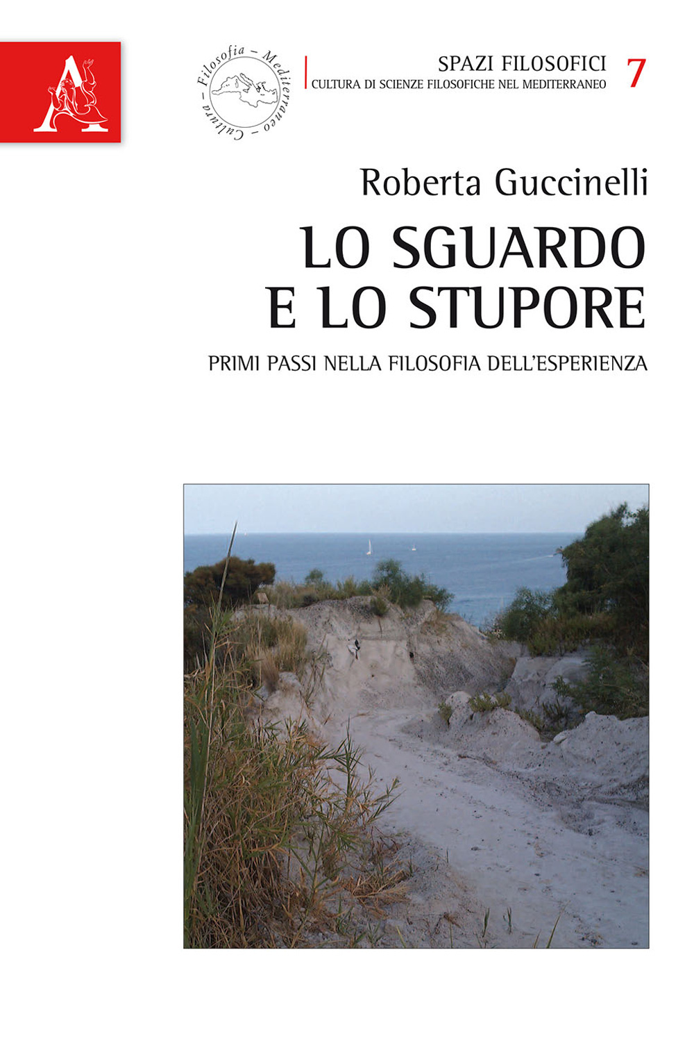 Lo sguardo e lo stupore. Primi passi nella filosofia dell'esperienza