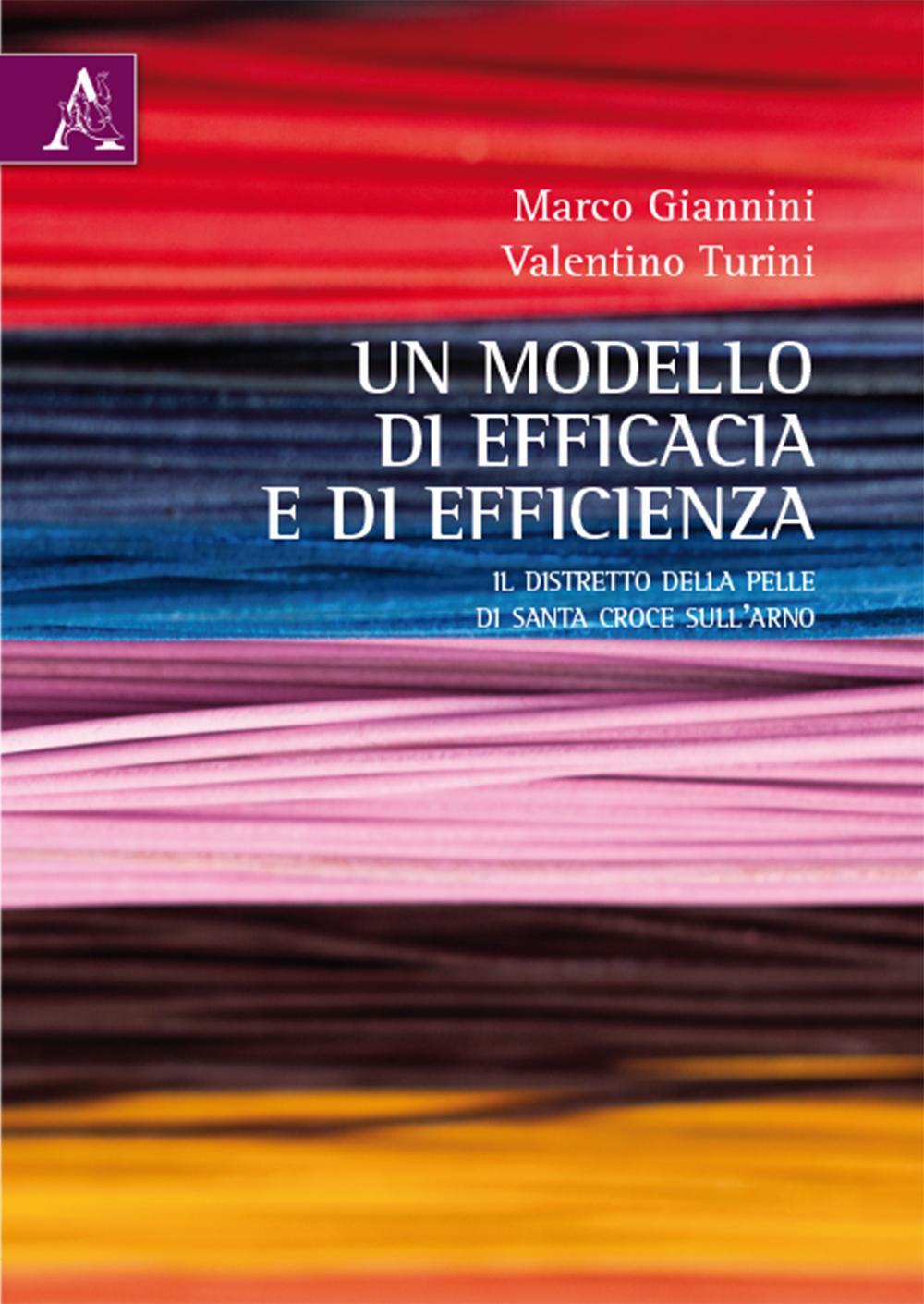 Un modello di efficacia e di efficienza. Il distretto della pelle di Santa Croce sull'Arno