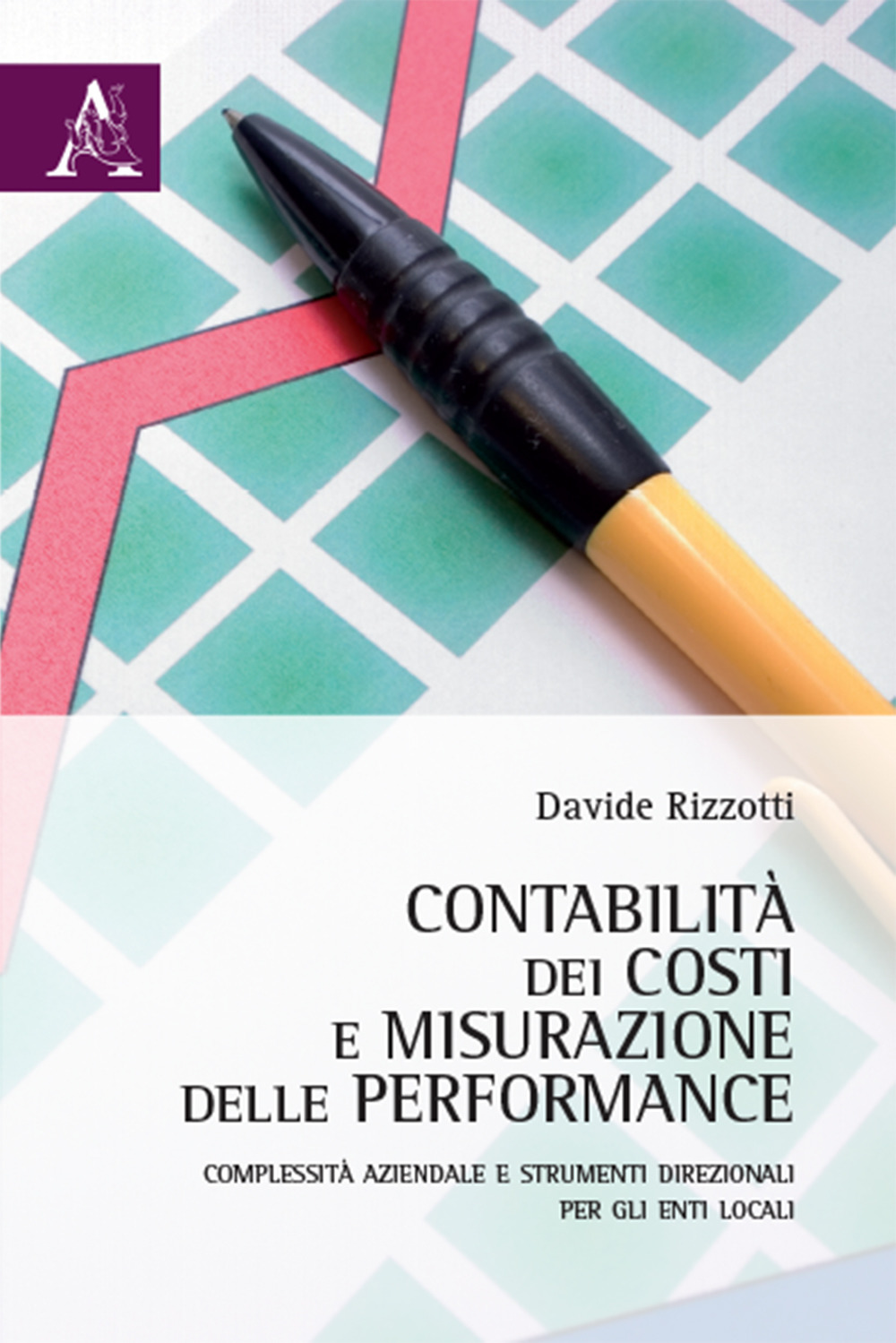 Contabilità dei costi e misurazione delle performance. Complessità aziendale direzionali per gli Enti Locali