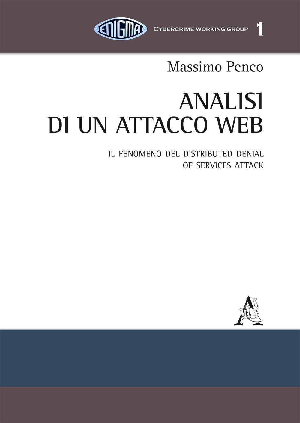 La guerra nel cyberspazio. Il fenomeno del distributed denial of services attack