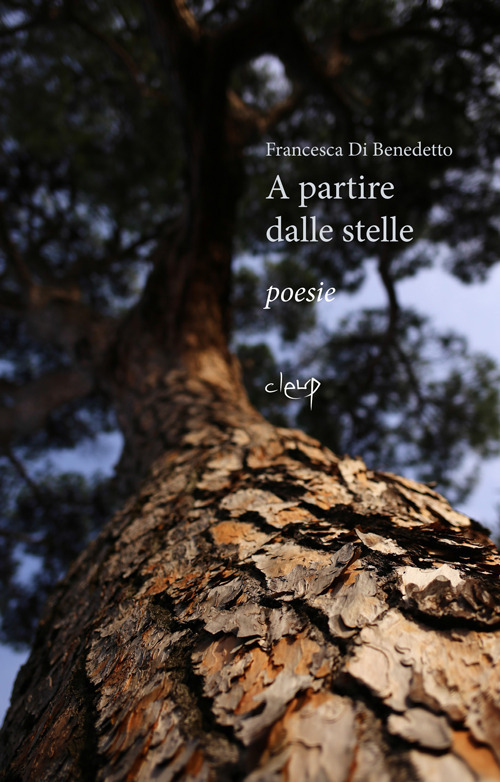 A partire dalle stelle