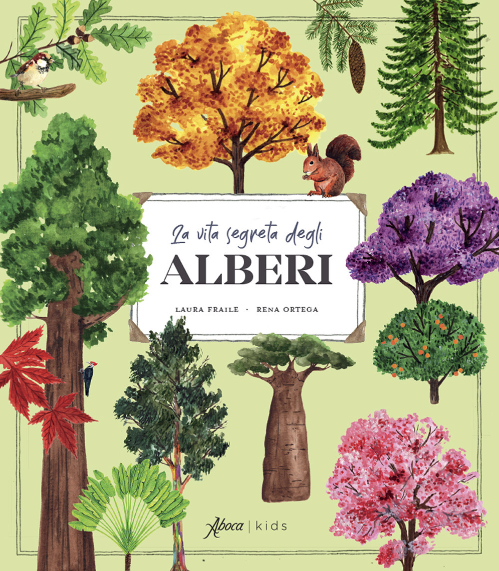 La vita segreta degli alberi. Ediz. illustrata