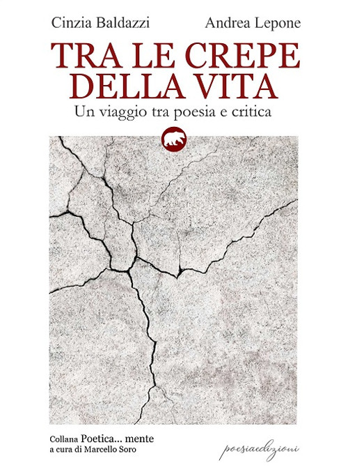 Tra le crepe della vita. Un viaggio tra poesia e critica