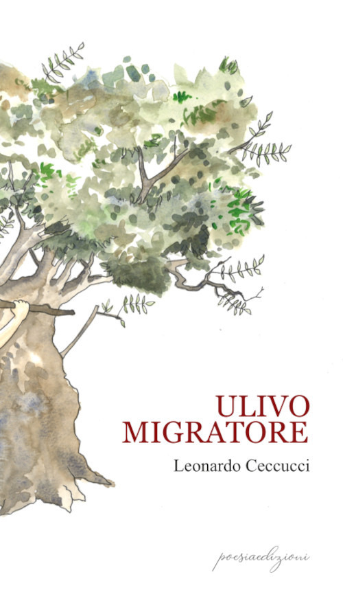 Ulivo migratore