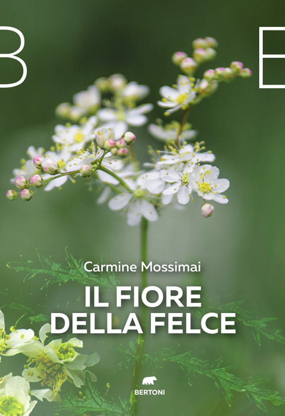 Il fiore della felce