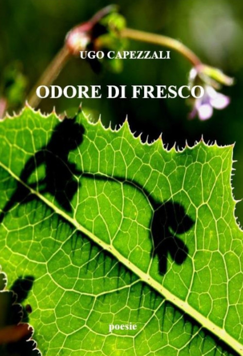 Odore di fresco