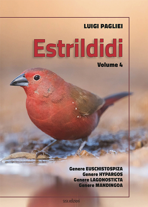 Estrildidi. Ediz. illustrata. Vol. 4