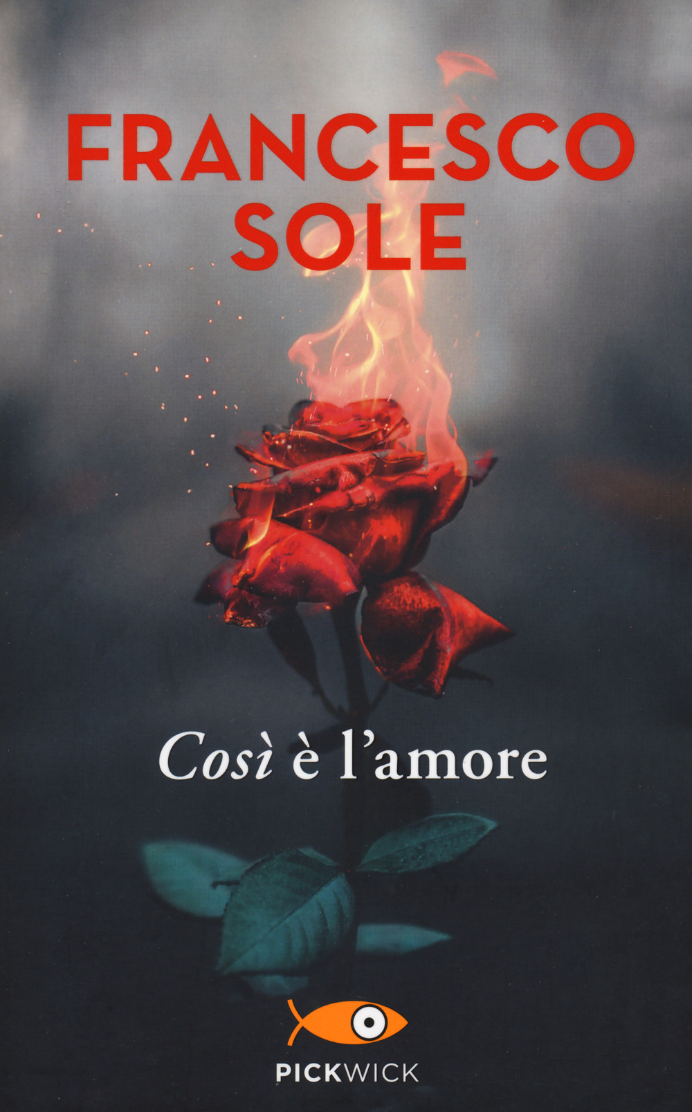 Così è l'amore