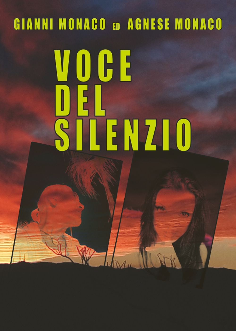 Voce del silenzio