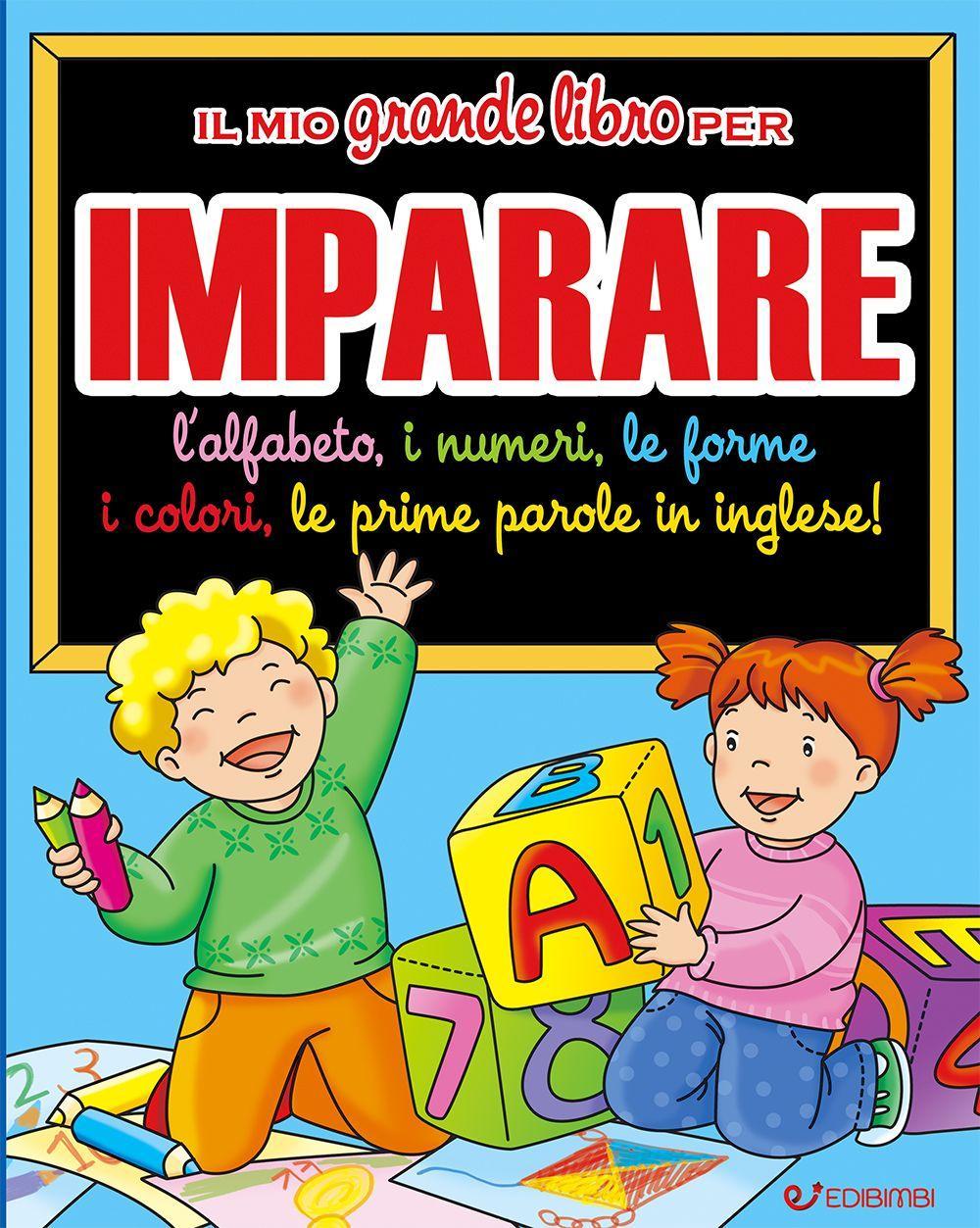 Il mio grande libro per imparare. L'alfabeto, i numeri, le forme, i colori, le prime parole in inglese!