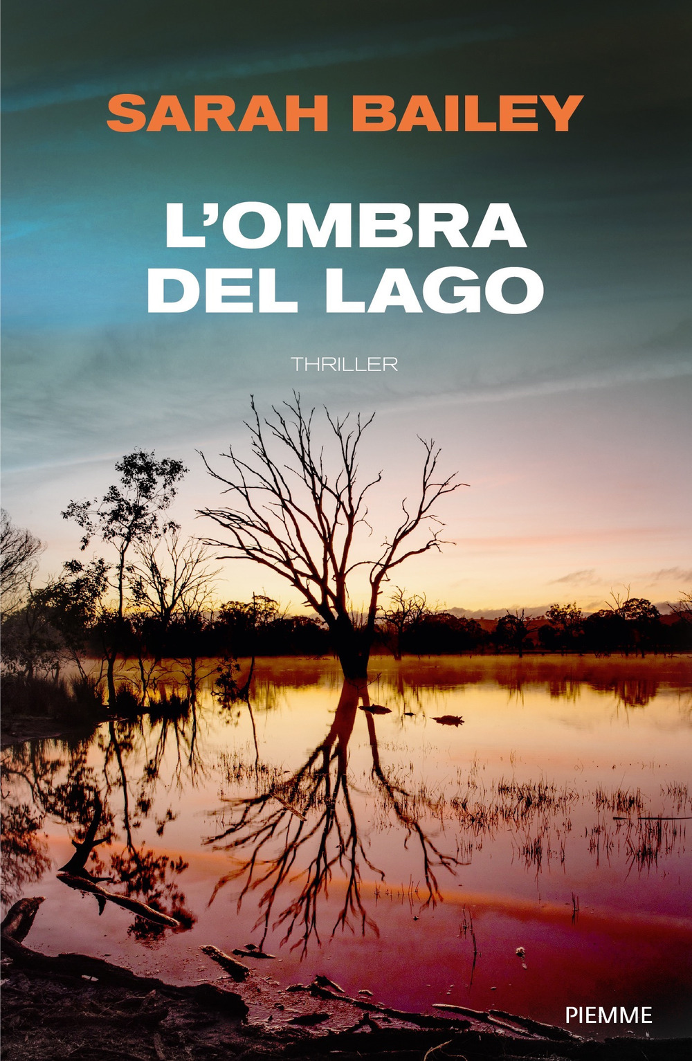 L'ombra del lago