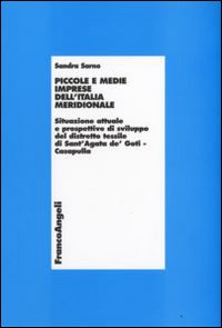 Piccole e medie imprese dell'Italia meridionale. Situazione attuale e prospettive di sviluppo del distretto tessile di Sant'Agata de Goti-Casapulla