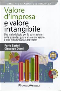 Valore d'impresa e valore intangibile. Una metodologia per la valutazione delle aziende: guida alla misurazione e alla pianificazione del valore