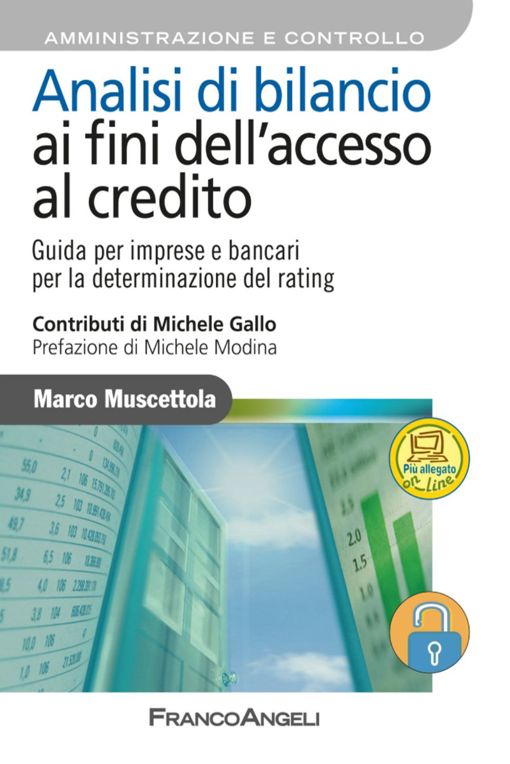 Analisi di bilancio ai fini dell'accesso al credito. Guida per imprese e bancari per la determinazione del rating. Con aggiornamento online