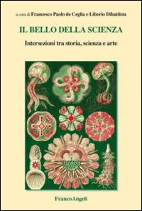 Il bello della scienza. Intersezioni tra storia, scienza e arte