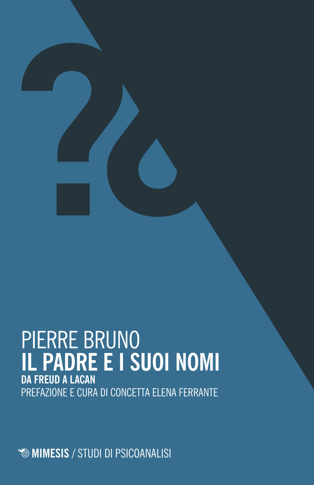 Il padre e i suoi nomi. Da Freud a Lacan