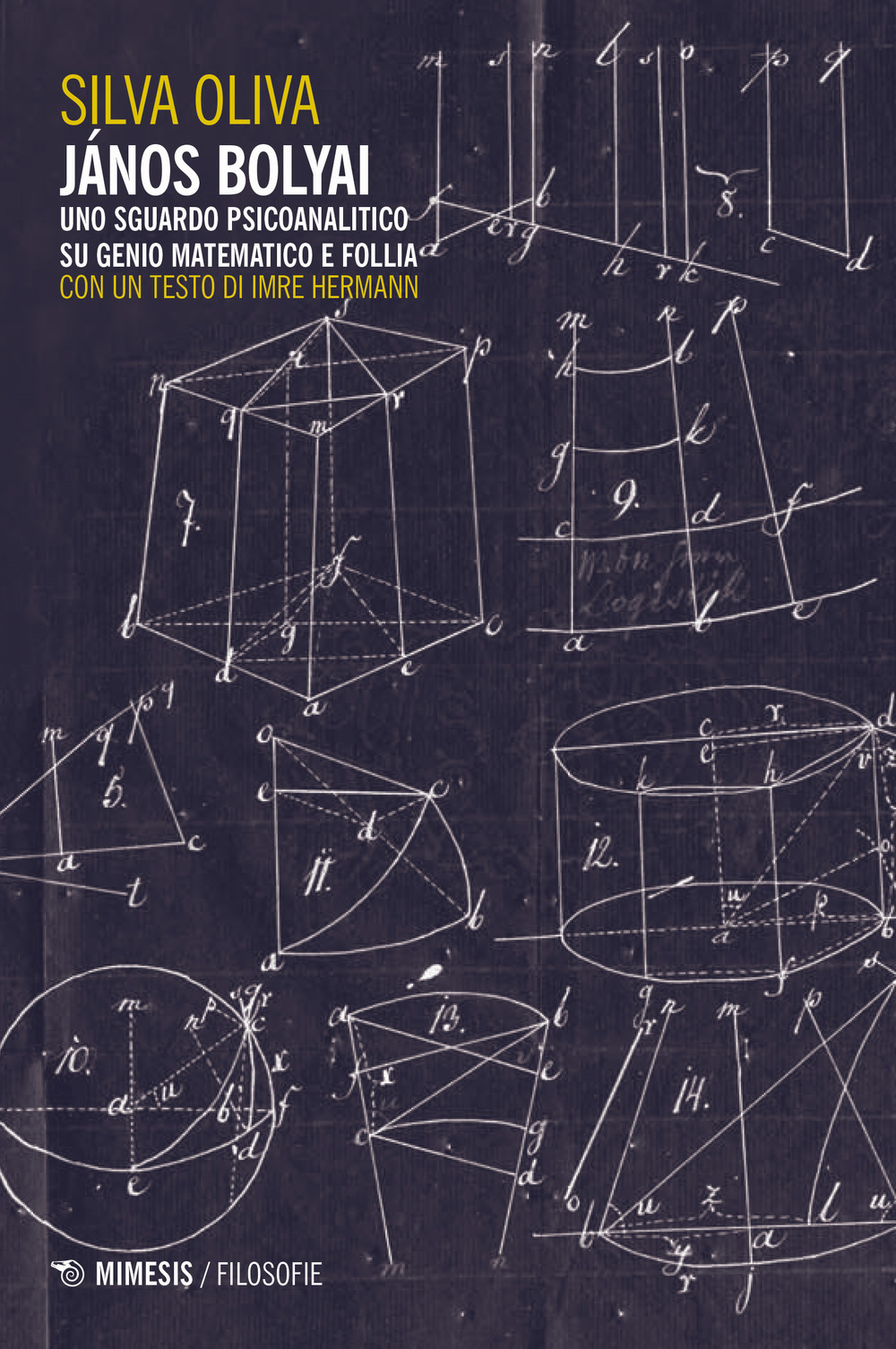 János Bolyai. Uno sguardo psicoanalitico su genio matematico e follia