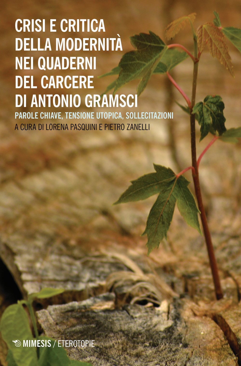 Crisi e critica della modernità nei quaderni del carcere di Antonio Gramsci. Parole chiave, tensione utopica, sollecitazioni