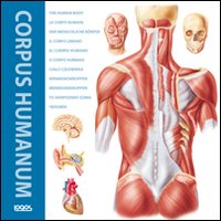 Corpus humanum. Ediz. italiana, inglese, francese, spagnola e tedesca