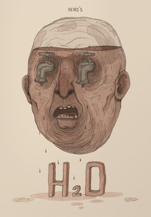 H2O. Ediz. illustrata