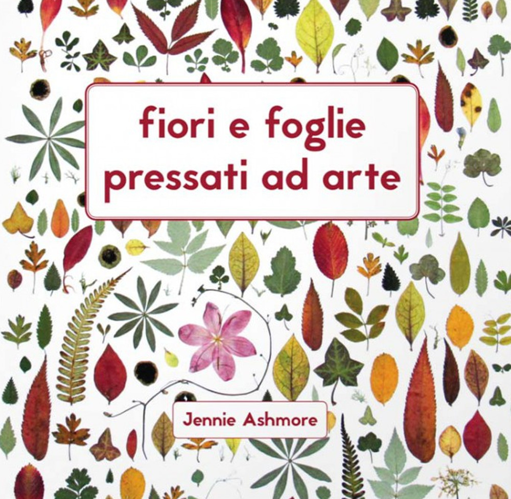 Fiori e foglie pressati ad arte