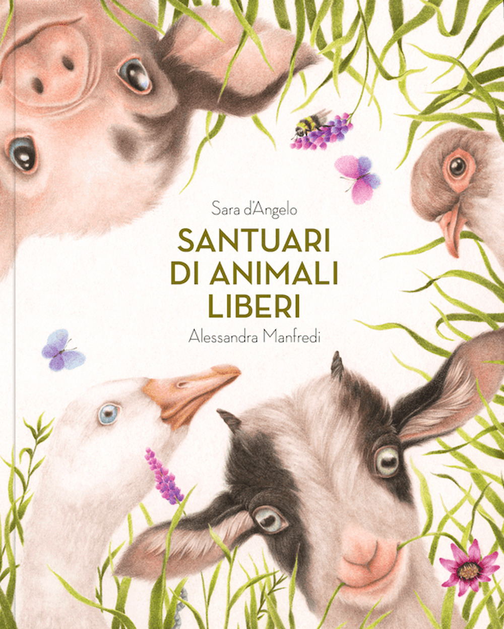 Santuari di animali liberi