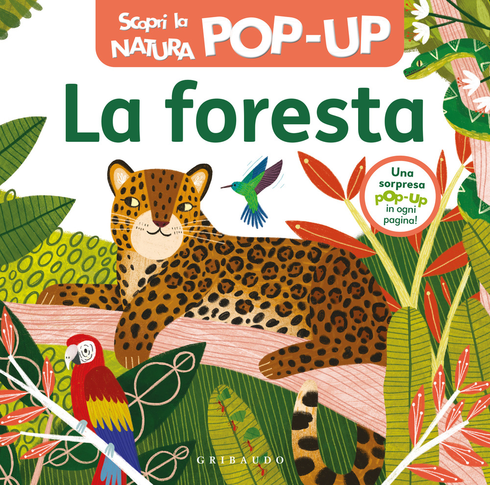 La foresta. Scopri la natura pop up