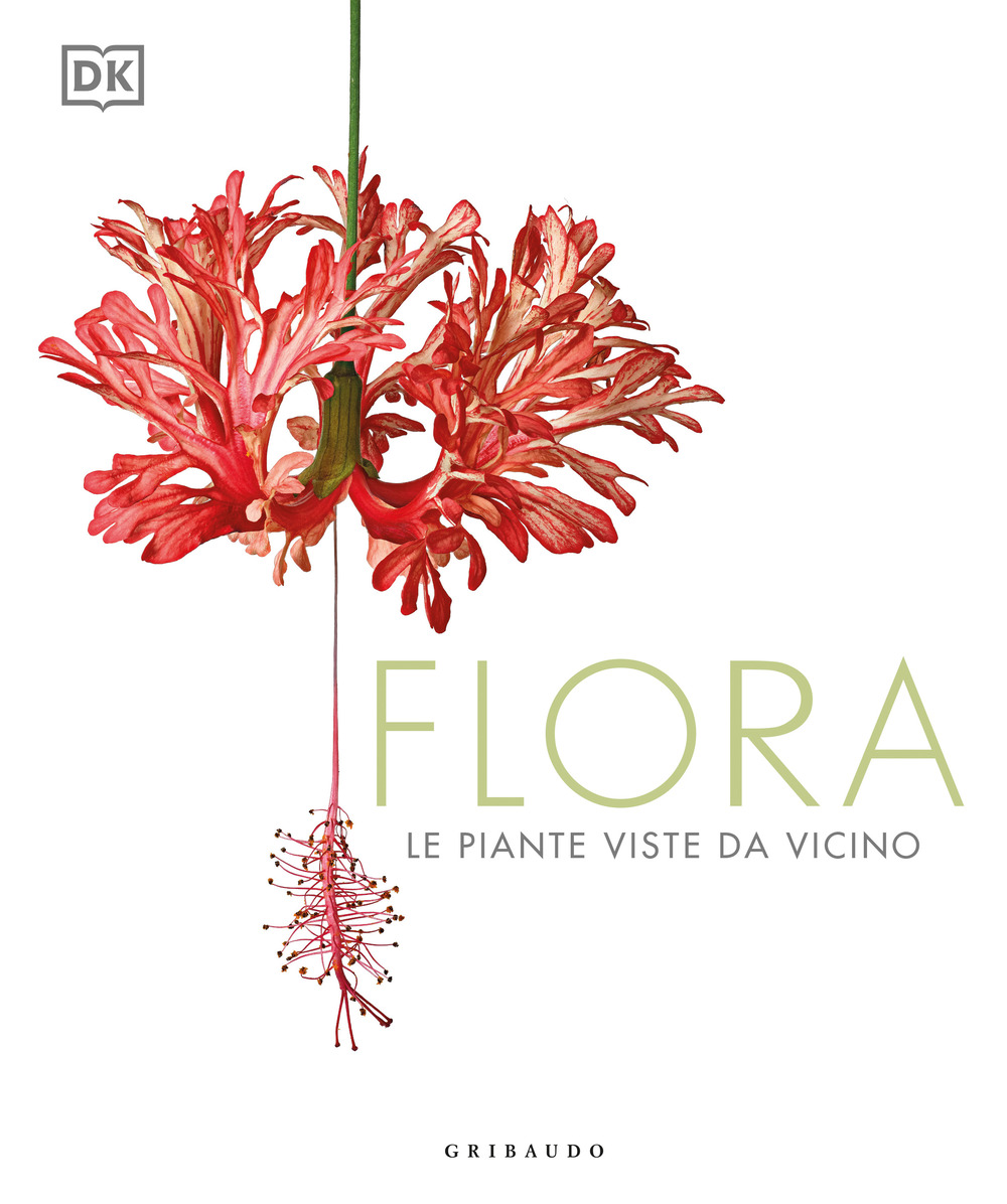 Flora. Le piante viste da vicino