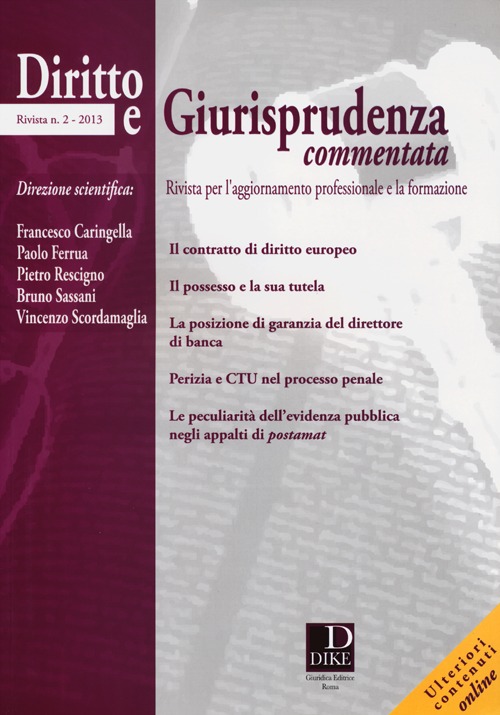 Diritto e giurisprudenza commentata (2013). Vol. 2