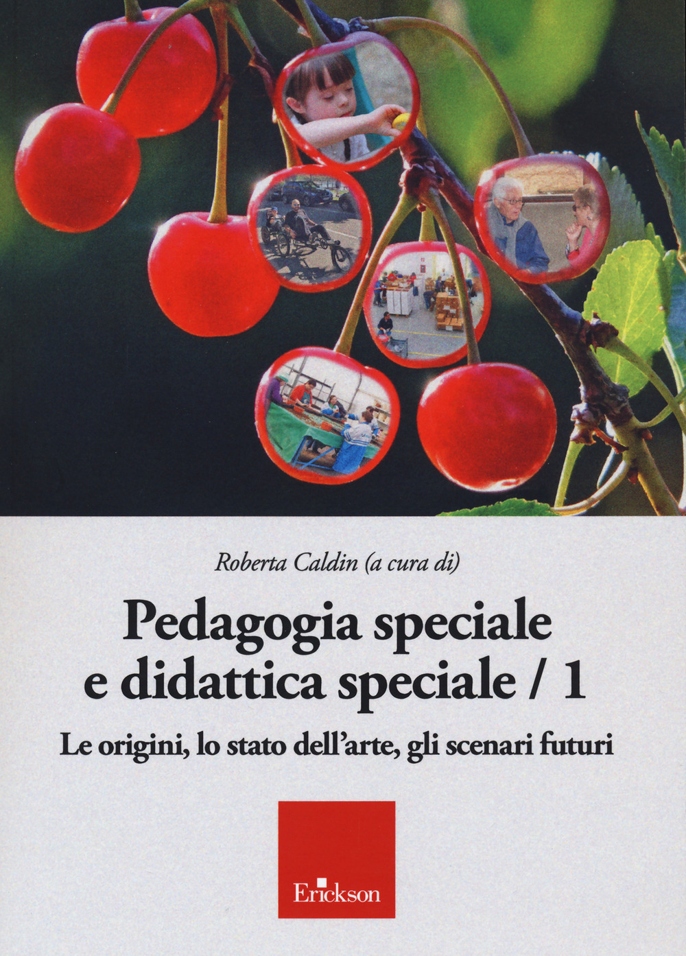 Pedagogia speciale e didattica speciale. Vol. 1: Le origini, lo stato dell'arte, gli scenari futuri