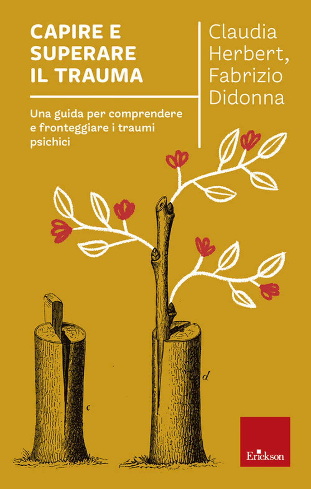 Capire e superare il trauma. Una guida per comprendere e fronteggiare efficacemente i traumi psichici