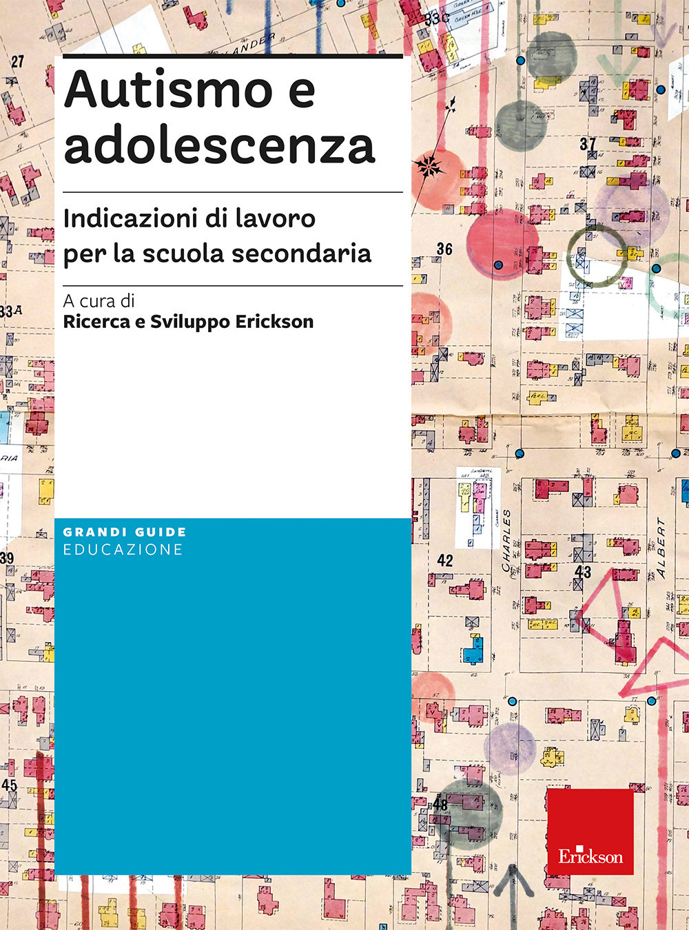 Autismo e adolescenza. Indicazioni di lavoro per la scuola secondaria