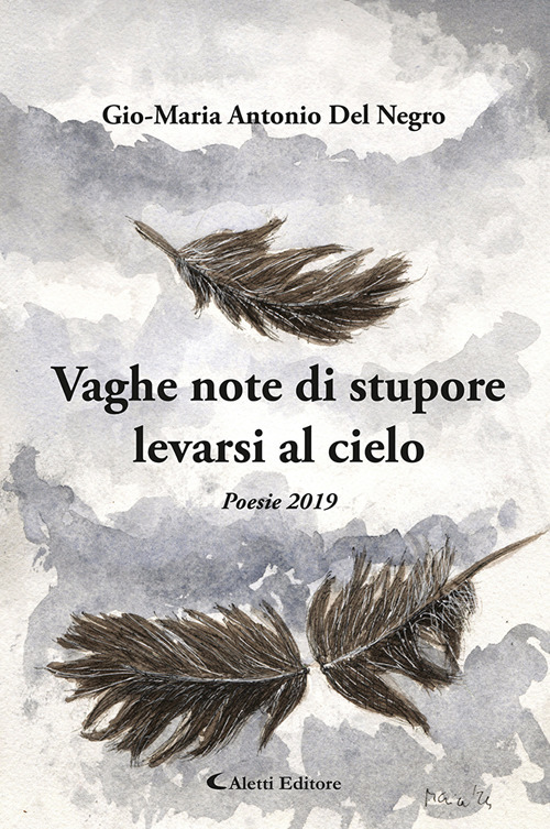 Vaghe note di stupore levate al cielo. (Poesie 2019)