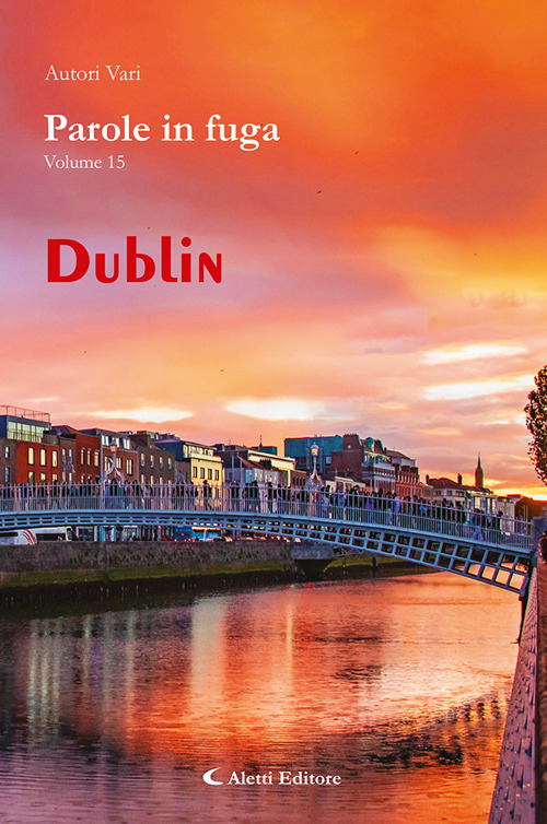 Parole in fuga. Vol. 15: Dublin