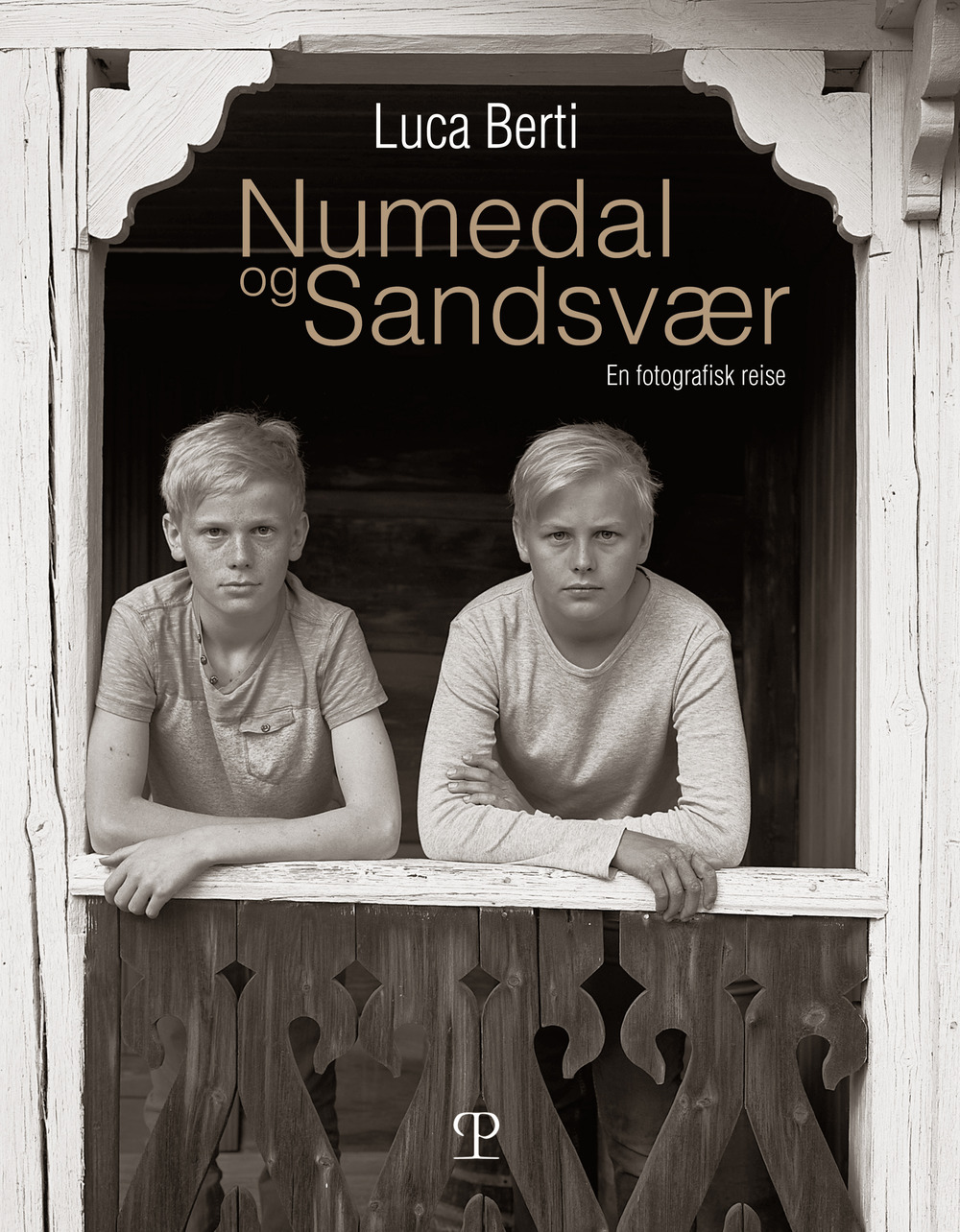 Numedal og Sandsvær. En fotografisk reise. Ediz. illustrata