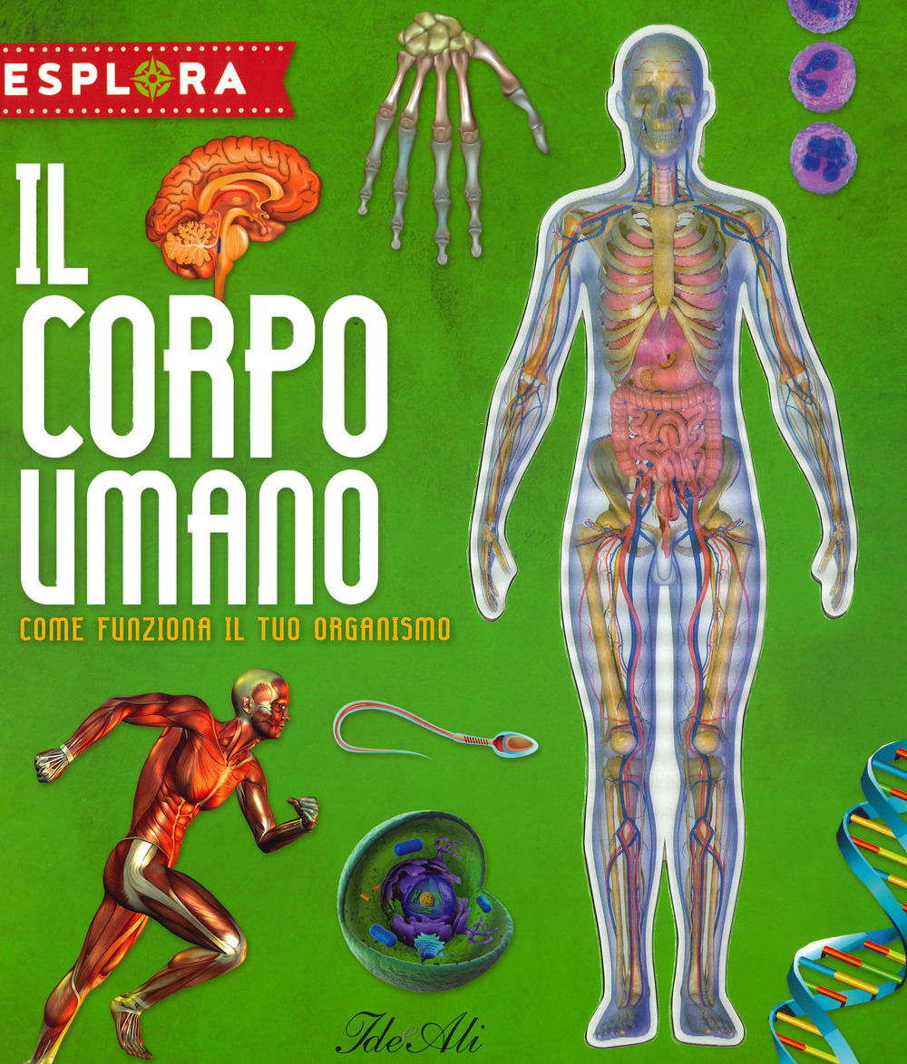 Il corpo umano. Come funziona il tuo organismo. Esplora. Ediz. a spirale. Con Adesivi. Con Poster