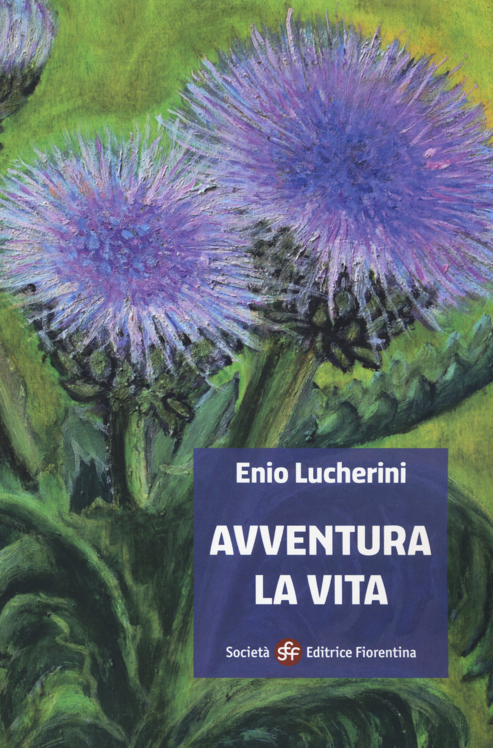 Enio Lucherini. Avventura la vita. Ediz. illustrata