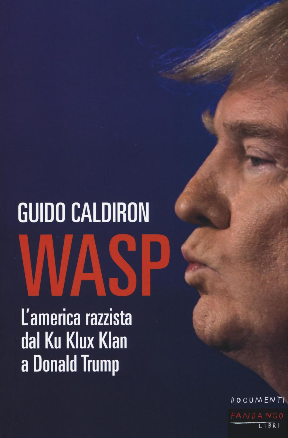 WASP. L'America razzista dal Ku Klux Klan a Donald Trump