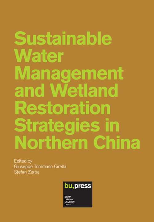 Sustainable water management and wetland restoration strategies in northern China