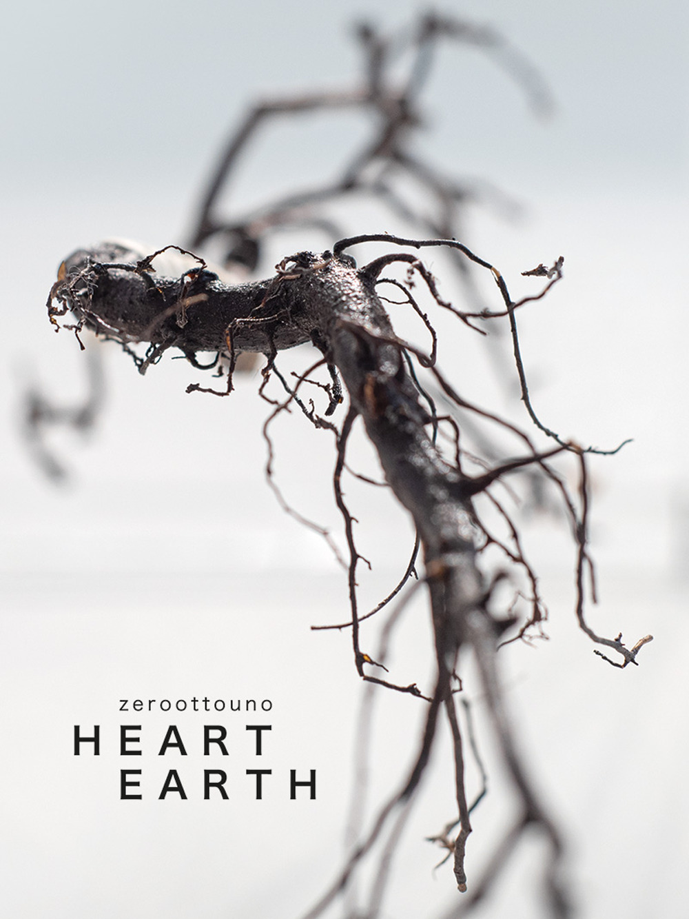 Zeroottouno. Heart/Earth. Catalogo della mostra (Fabbrica Eos, Milano, 8 settembre - 8 ottobre 2022). Ediz. italiana e inglese