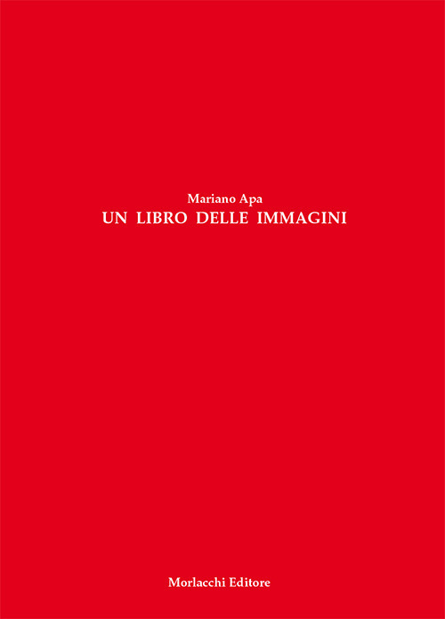 Un libro delle immagini