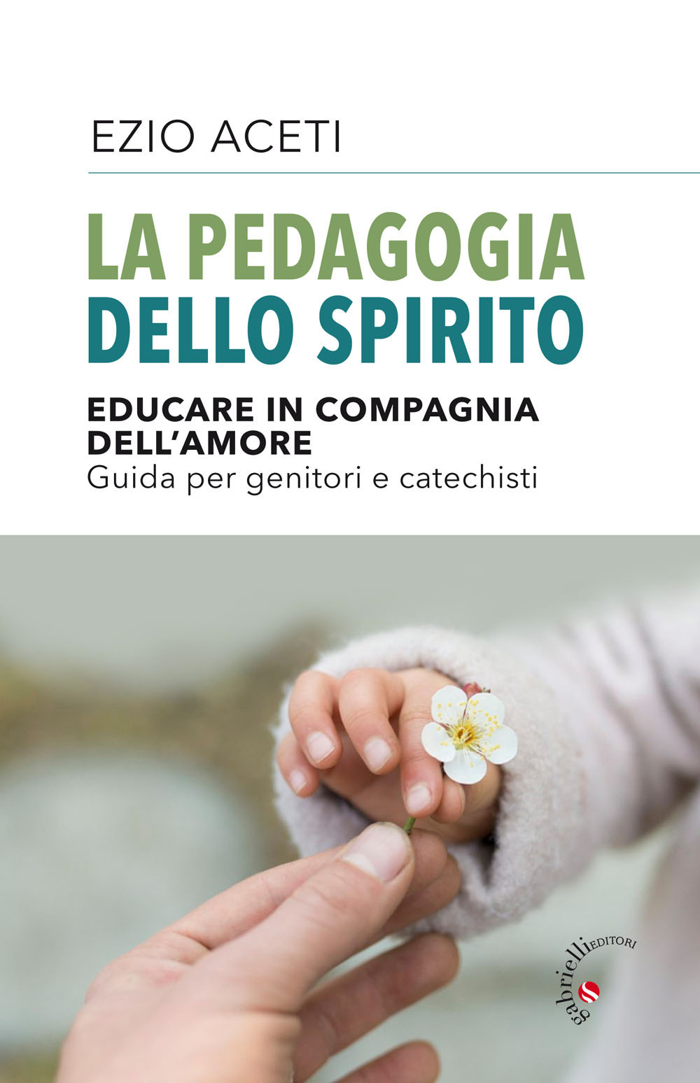 La pedagogia dello spirito. Educare in compagnia dell'amore. Guida per genitori e catechisti