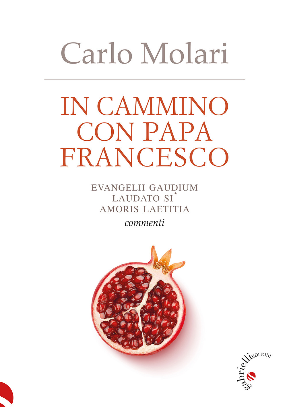 In cammino con papa Francesco. Evangelii Gaudium, Laudato si', Amoris laetitia. Commenti