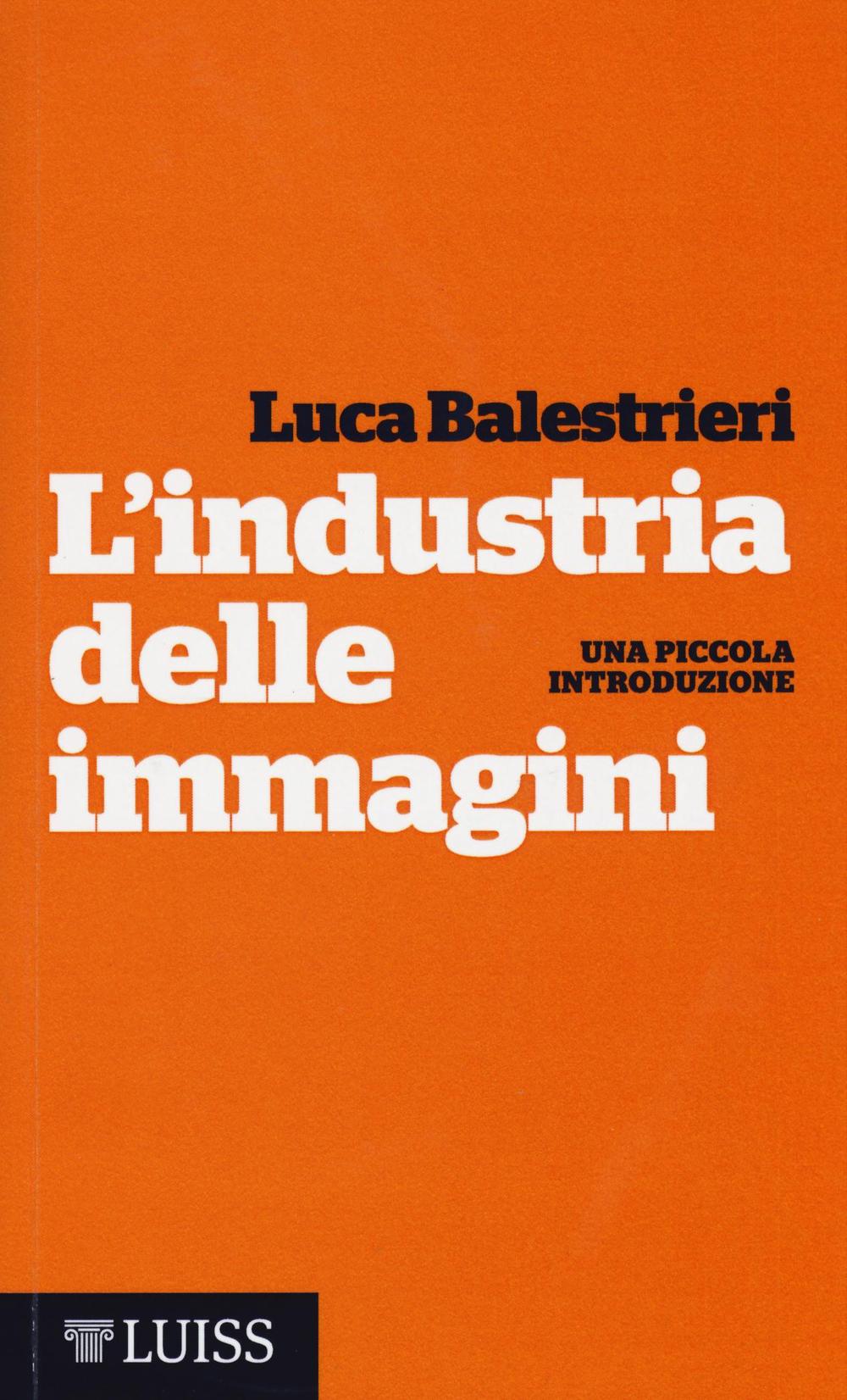 L'industria delle immagini. Una piccola introduzione