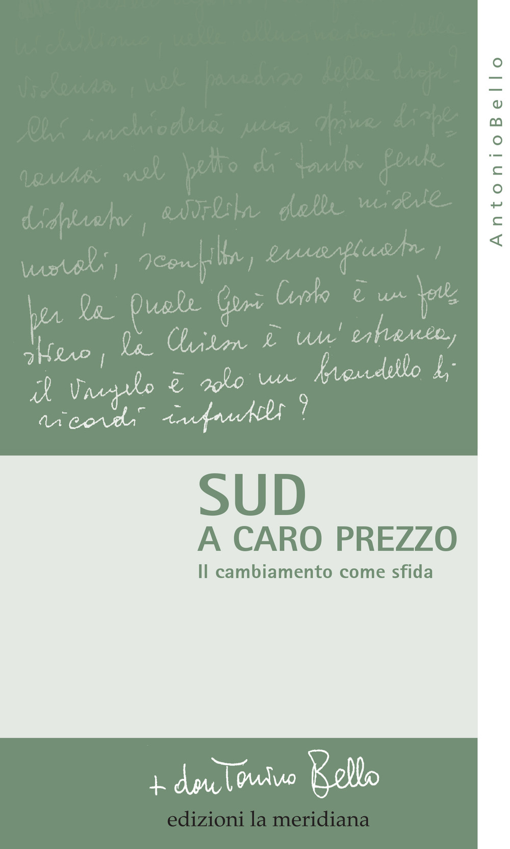 Sud a caro prezzo. Il cambiamento come sfida