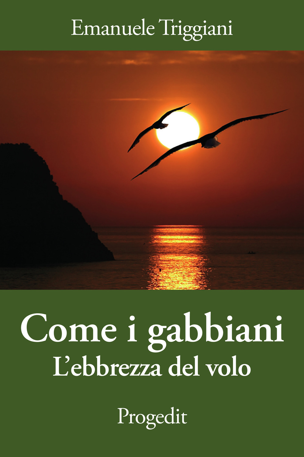 Come i gabbiani. L'ebbrezza del volo