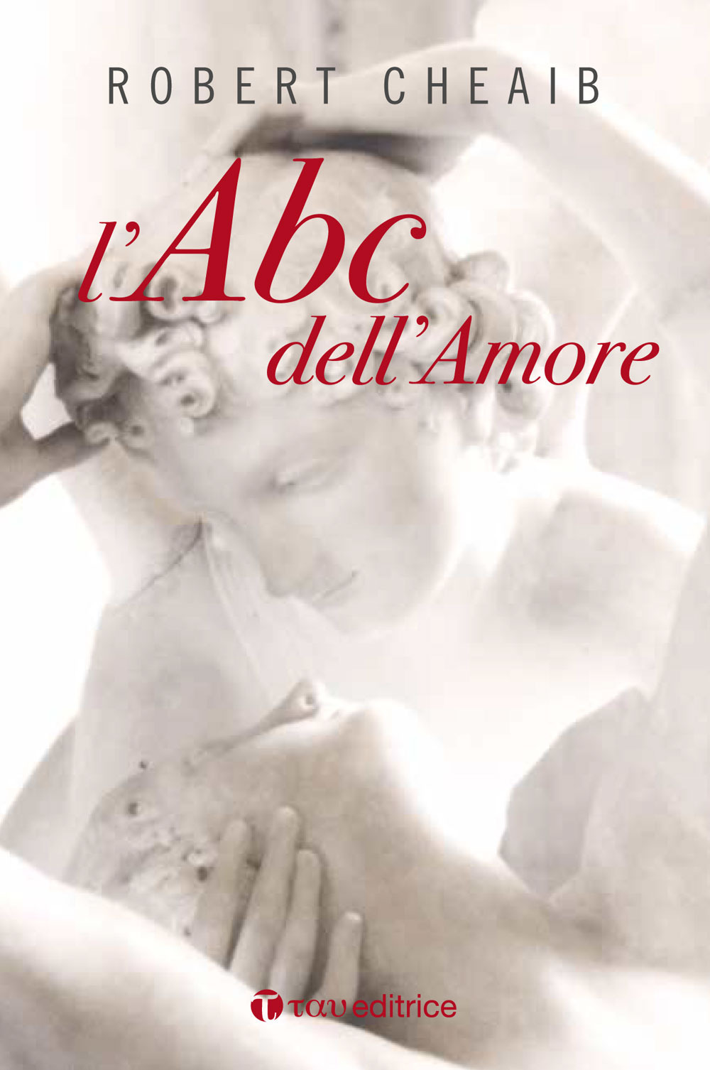 L'ABC dell'amore. Sei parole per costruire e custodire la famiglia. Nuova ediz.