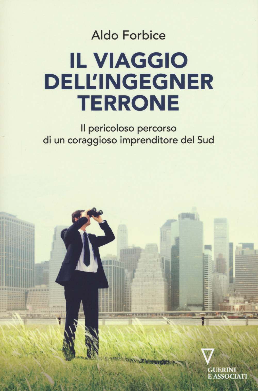 Il viaggio dell'ingegner Terrone. Il pericoloso percorso di un coraggioso imprenditore del sud